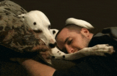 吃瓜娱乐图片搞笑图