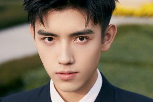 娱乐吃瓜君陈飞宇罗云熙,娱乐圈的“吃瓜”风云人物