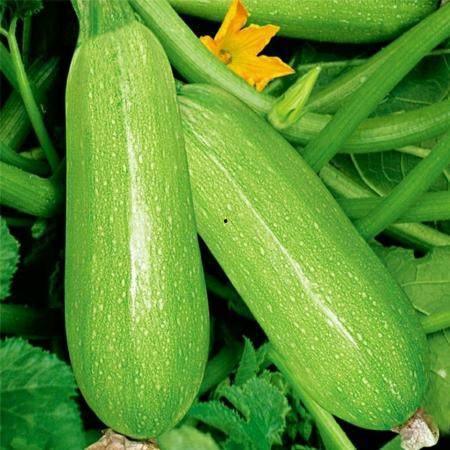 娱乐圈吃瓜三个孩子是谁,揭秘明星家庭背后的温馨故事