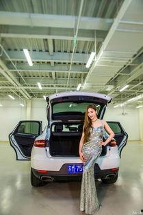 吃瓜娱乐酱汽车,吃瓜娱乐酱带你领略汽车界的风采